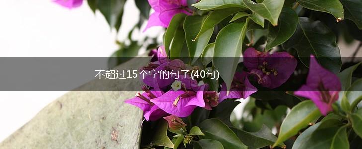 不超过15个字的句子(40句),第1张