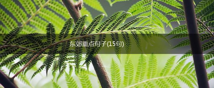 东郊重点句子(15句),第1张