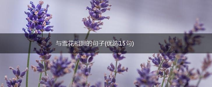 与雪花相拥的句子(优选15句),第1张