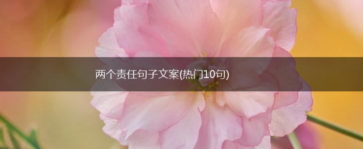 两个责任句子文案(热门10句),第1张