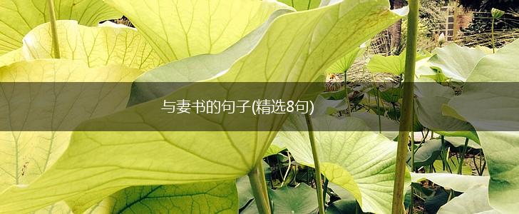 与妻书的句子(精选8句),第1张