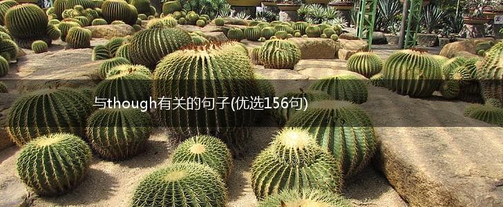 与though有关的句子(优选156句),第1张