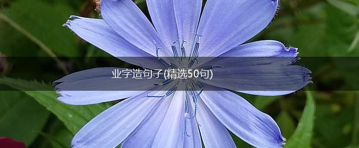 业字造句子(精选50句),第1张