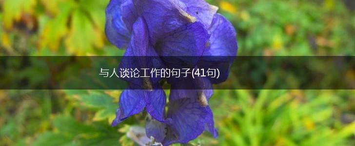 与人谈论工作的句子(41句),第1张