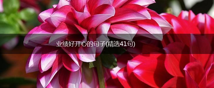业绩好开心的句子(精选41句),第1张