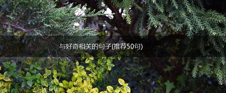 与好奇相关的句子(推荐50句),第1张