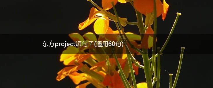 东方project短句子(通用60句),第1张