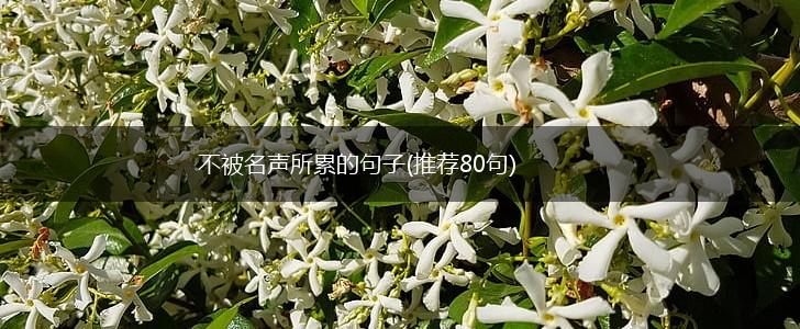 不被名声所累的句子(推荐80句),第1张