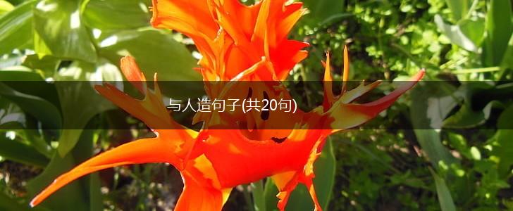 与人造句子(共20句),第1张