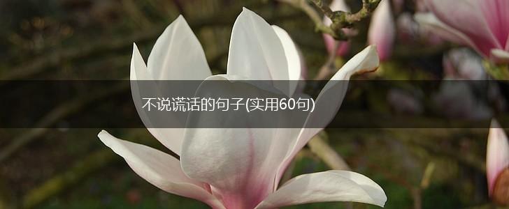 不说谎话的句子(实用60句),第1张