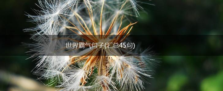 世界霸气句子(汇总45句),第1张