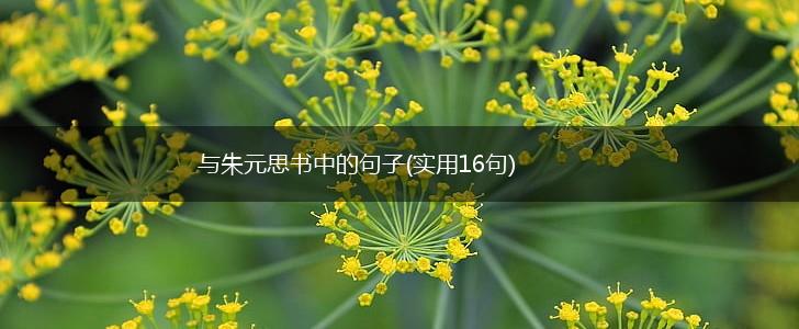 与朱元思书中的句子(实用16句),第1张