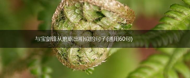 与宝剑锋从磨砺出相似的句子(通用60句),第1张
