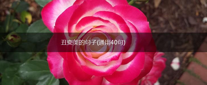 丑变美的句子(通用40句),第1张