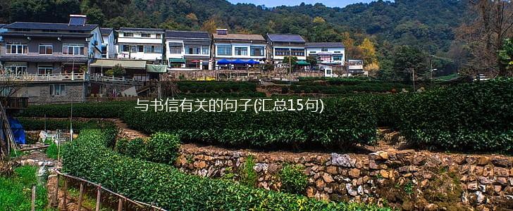 与书信有关的句子(汇总15句),第1张