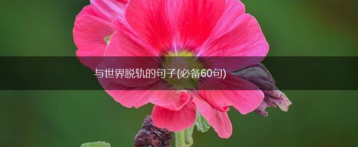 与世界脱轨的句子(必备60句),第1张