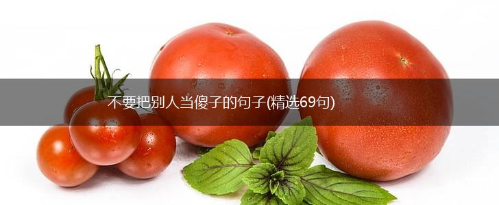 不要把别人当傻子的句子(精选69句),第1张