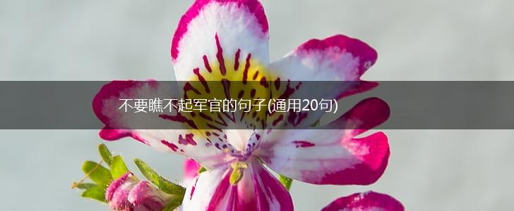 不要瞧不起军官的句子(通用20句),第1张