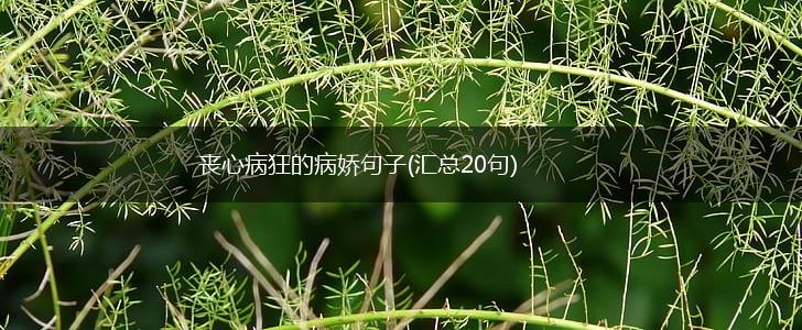 丧心病狂的病娇句子(汇总20句),第1张