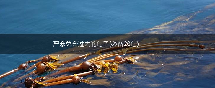 严寒总会过去的句子(必备20句),第1张