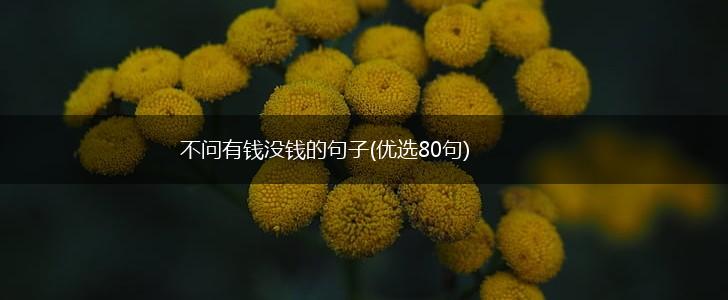 不问有钱没钱的句子(优选80句),第1张