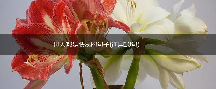 世人都是肤浅的句子(通用10句),第1张