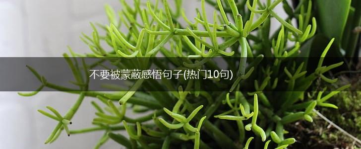 不要被蒙蔽感悟句子(热门10句),第1张