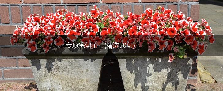专项练句子三(精选50句),第1张