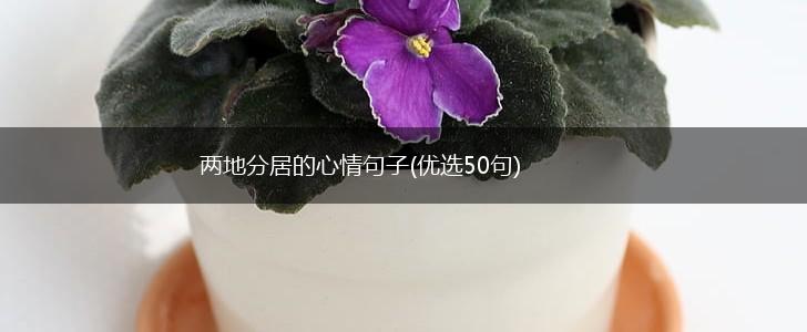 两地分居的心情句子(优选50句),第1张