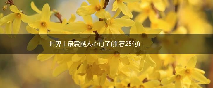 世界上最震撼人心句子(推荐25句),第1张