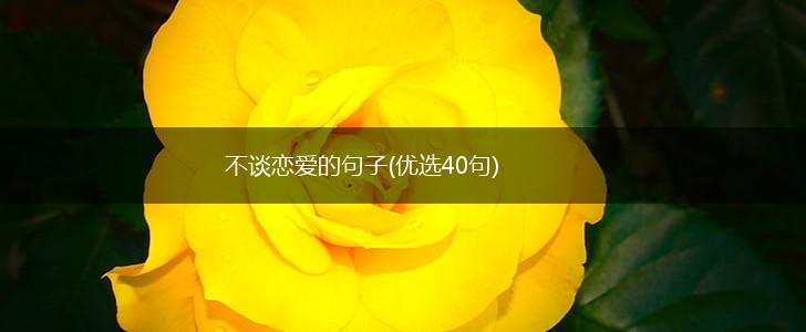 不谈恋爱的句子(优选40句),第1张