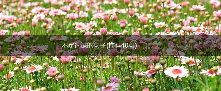 不足词语的句子(推荐40句),第1张