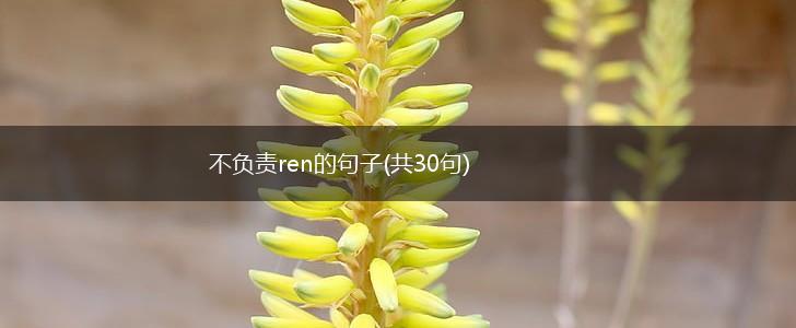 不负责ren的句子(共30句),第1张