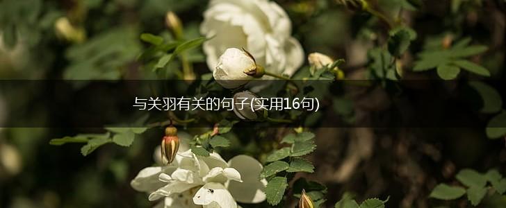 与关羽有关的句子(实用16句),第1张