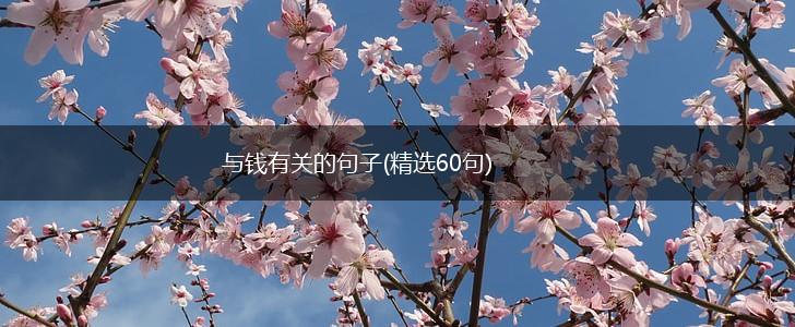 与钱有关的句子(精选60句),第1张