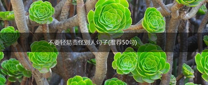 不要轻易责怪别人句子(推荐50句),第1张