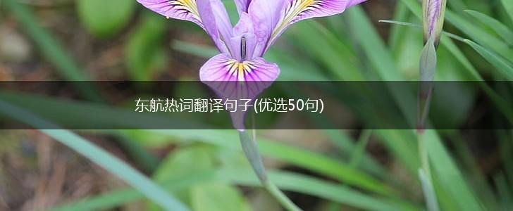 东航热词翻译句子(优选50句),第1张