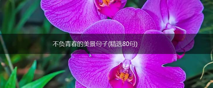 不负青春的美景句子(精选80句),第1张