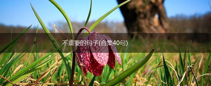 不重要的句子(合集40句),第1张