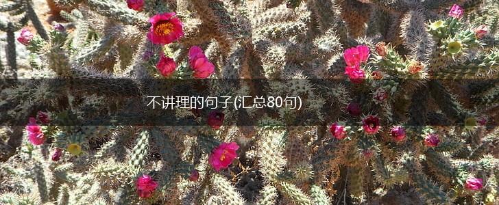 不讲理的句子(汇总80句),第1张