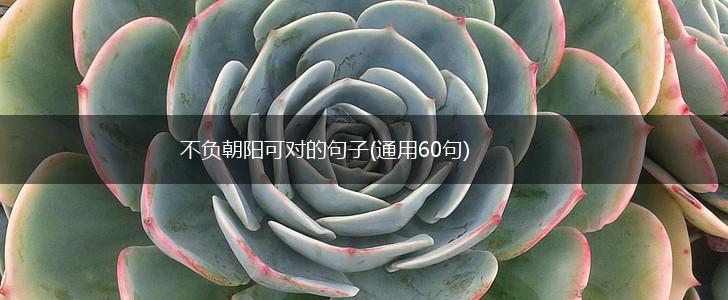 不负朝阳可对的句子(通用60句),第1张