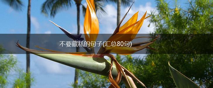不要藏私的句子(汇总80句),第1张