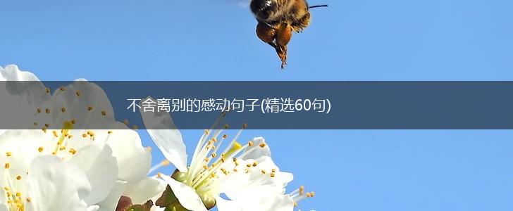 不舍离别的感动句子(精选60句),第1张