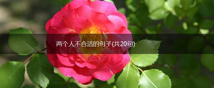 两个人不合适的句子(共20句),第1张