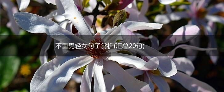 不重男轻女句子赏析(汇总20句),第1张