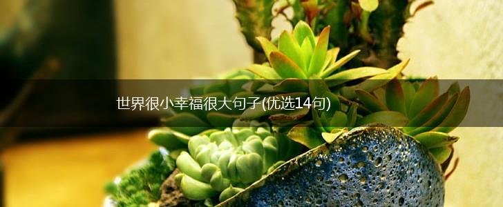 世界很小幸福很大句子(优选14句),第1张
