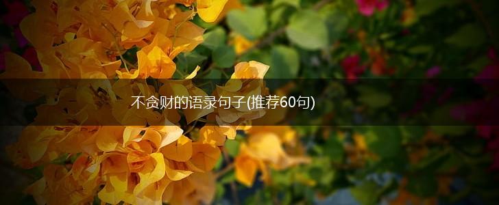 不贪财的语录句子(推荐60句),第1张