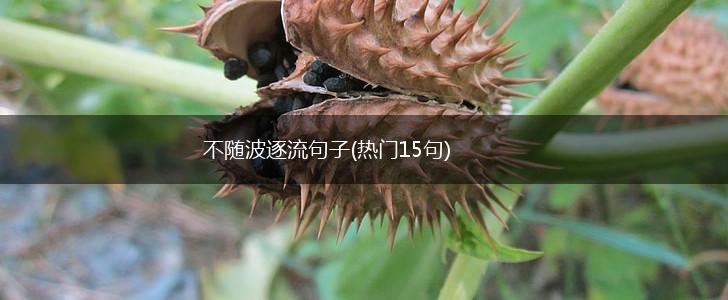 不随波逐流句子(热门15句),第1张