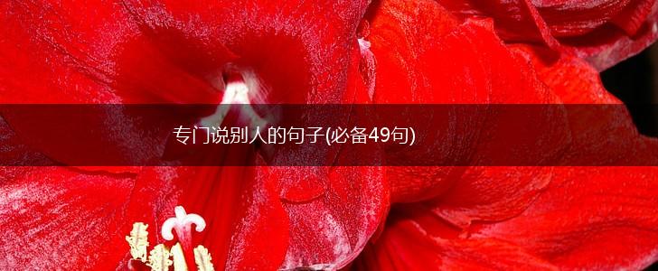 专门说别人的句子(必备49句),第1张