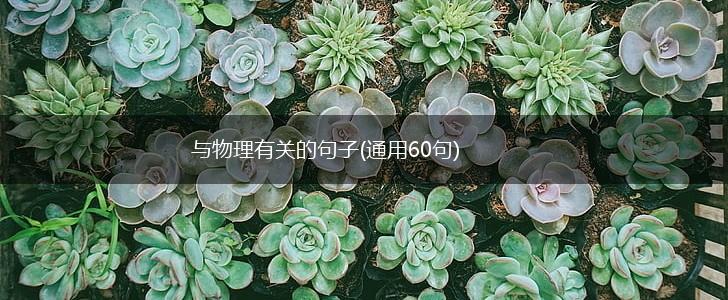 与物理有关的句子(通用60句),第1张
